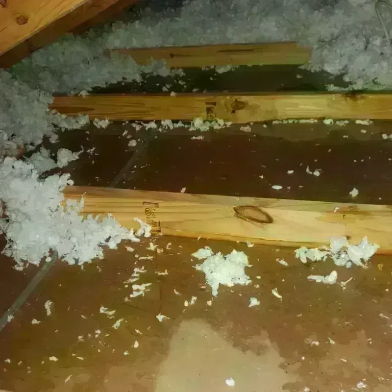 Attic Water Damage in Amite, LA